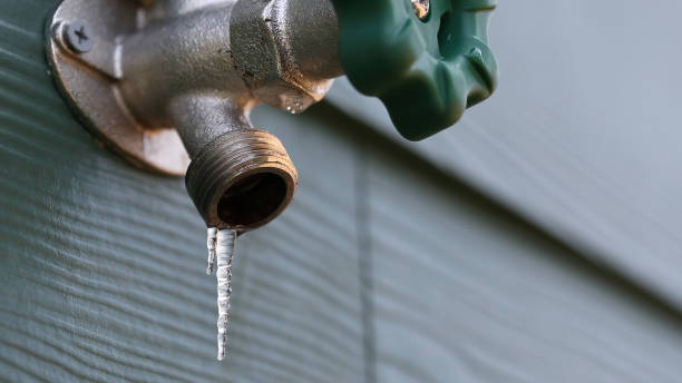 Best Water Leak Repair  in Garrison, TX
